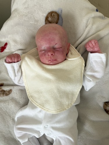Realborn callie - realborn,