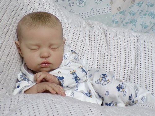 Reborn baby boy - baby,